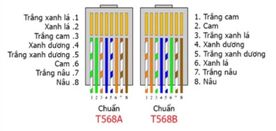 Có hai chuẩn sắp xếp dây mạng phổ biến: T568A và T568B