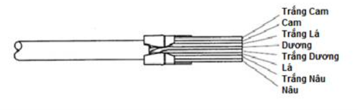 Bước 5